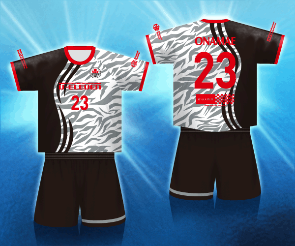 FA11SP_PC_GY