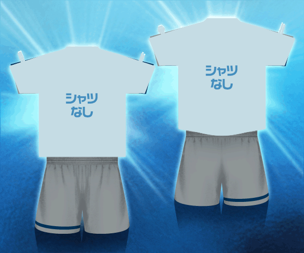 FA12PT_GY