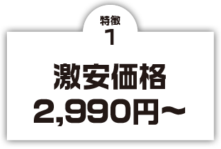 特徴1 激安価格 2,990円～