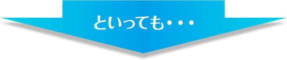 といっても・・・