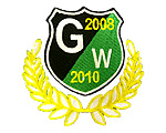 黒と緑の斜め切り替えの盾型エンブレム　刺繍ロゴ No.0401 デザイン例 / サッカーユニフォームショップV-ELEVEN
